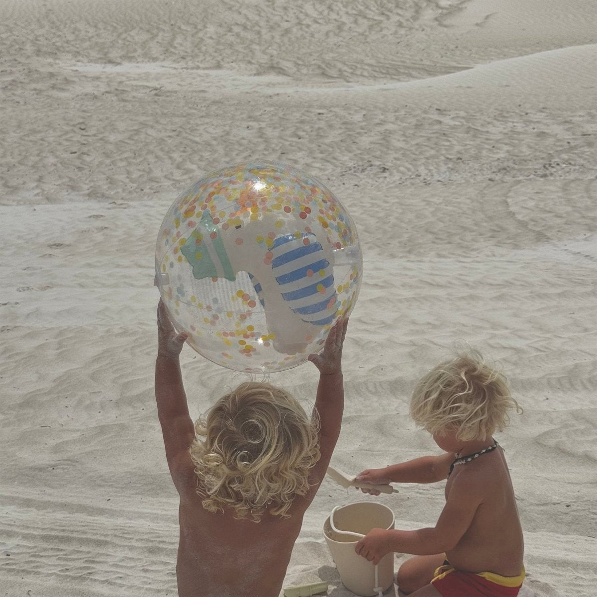 3D Inflatable Beach Ball - Sammy the Seagull
