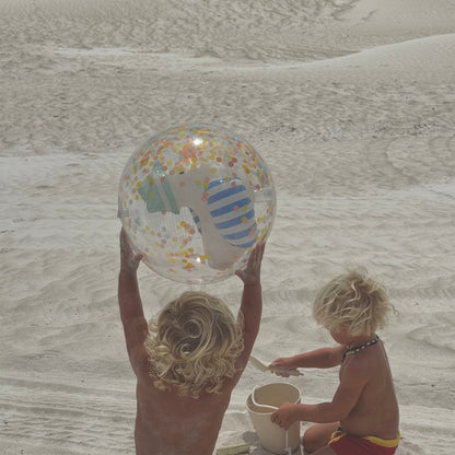 3D Inflatable Beach Ball - Sammy the Seagull