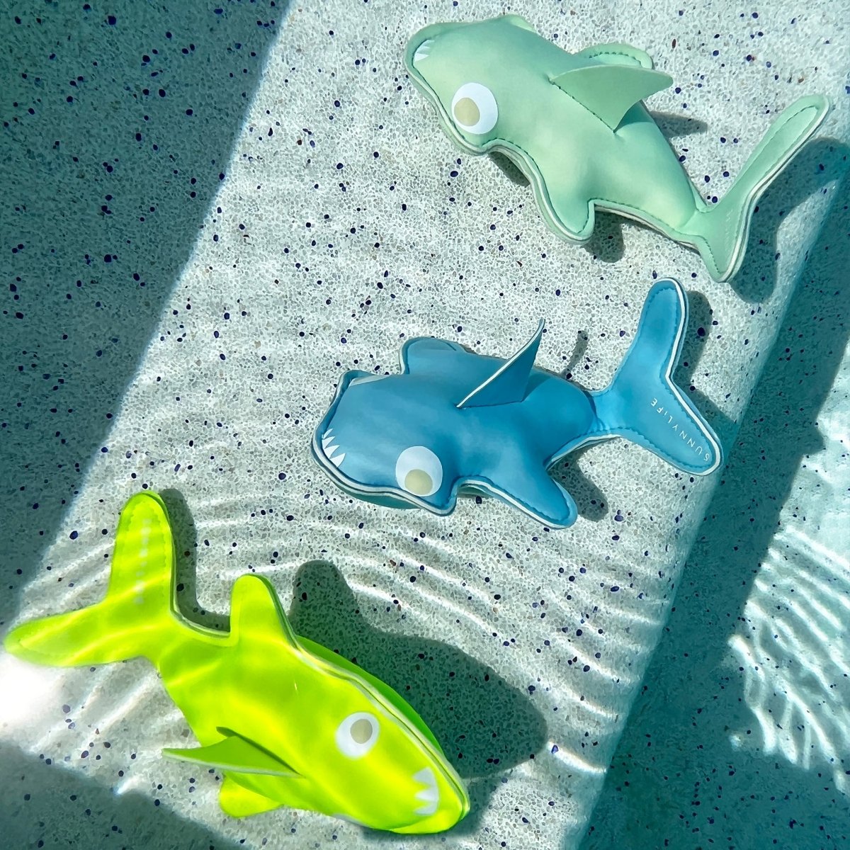 Dive Buddies - Salty The Shark