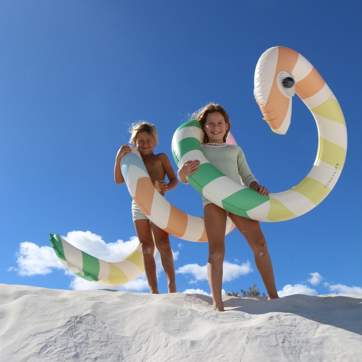 Giant Inflatable Noodle - Poolside