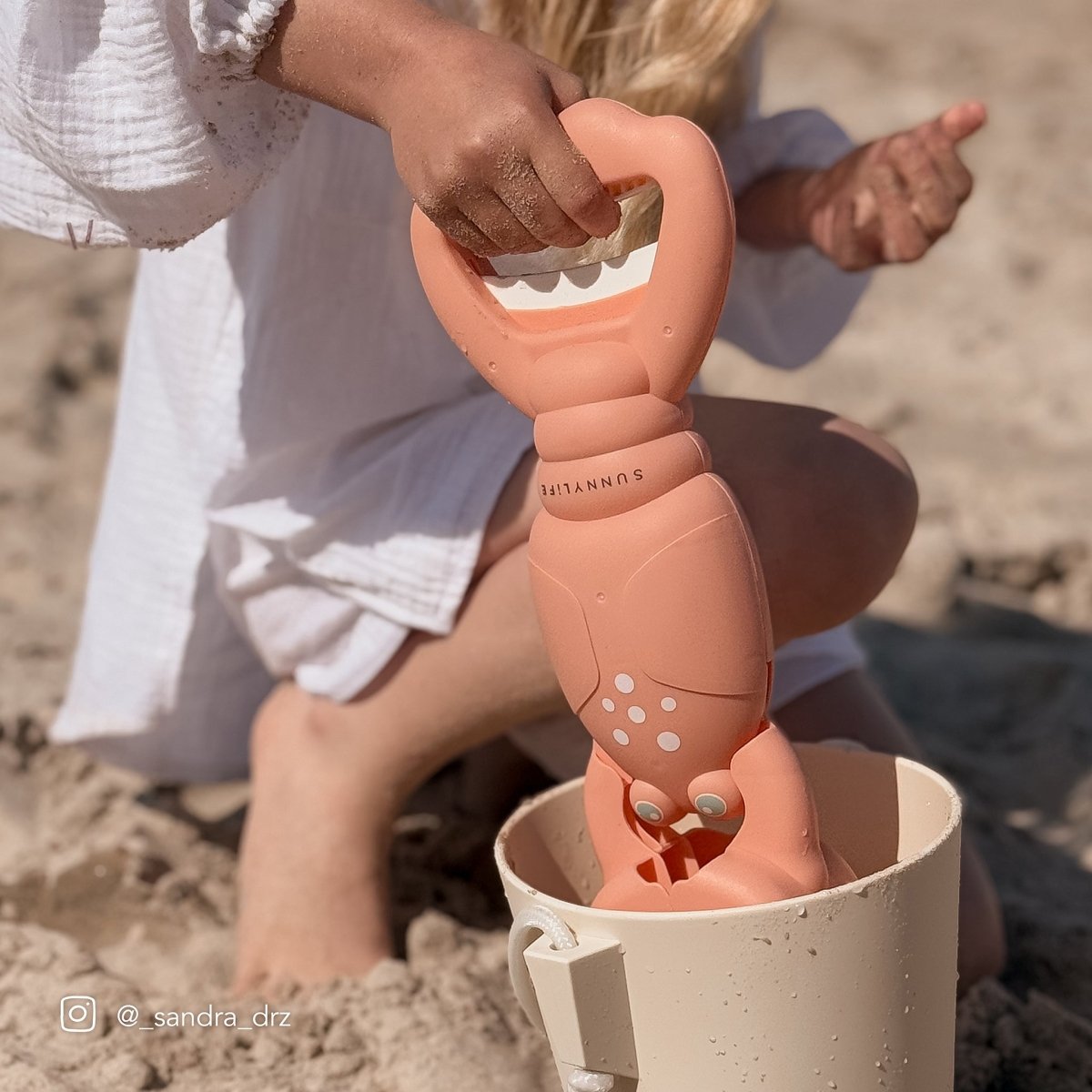 Lobster Sand Claws